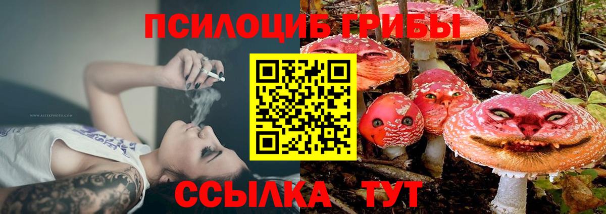 Псилоцибиновые грибы Psilocybine cubensis  Вход с VPN  Калуга 